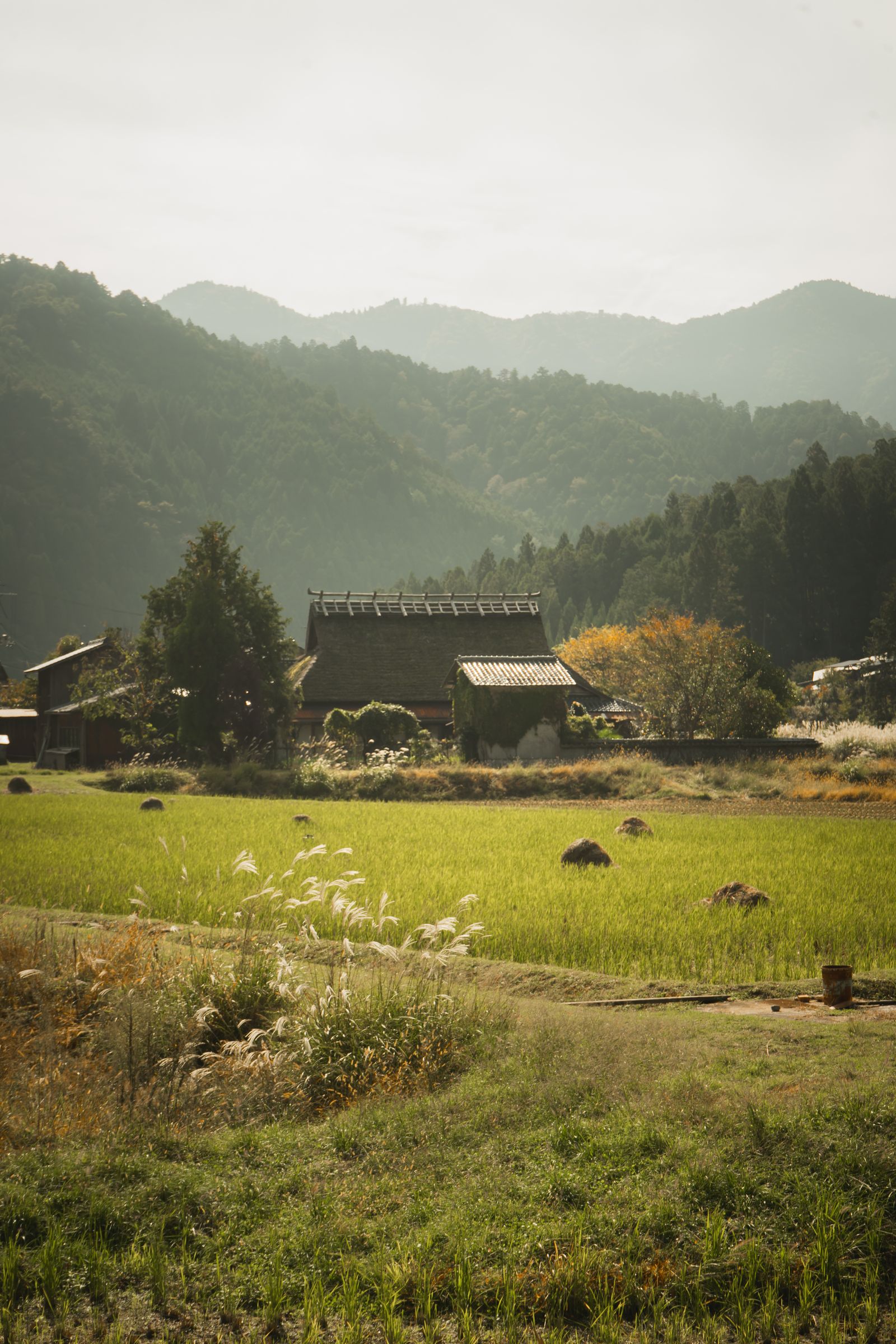 Hyōgo countryside